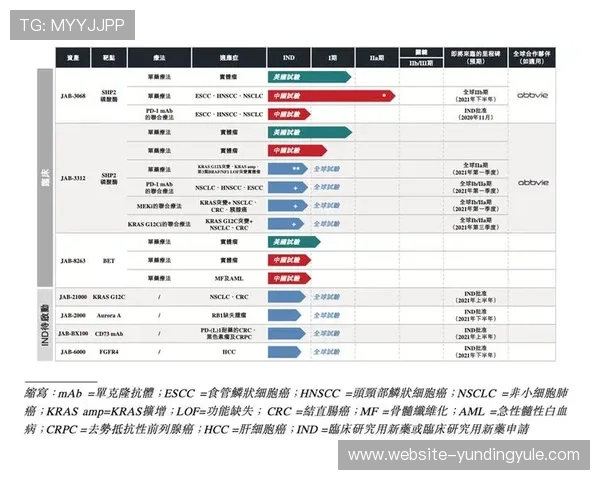 云顶新耀官网安全登录系统升级提升用户账户安全性