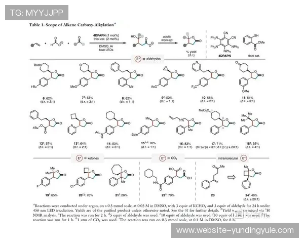 云顶集团公司在亚洲市场的扩展策略及其对区域经济的影响分析