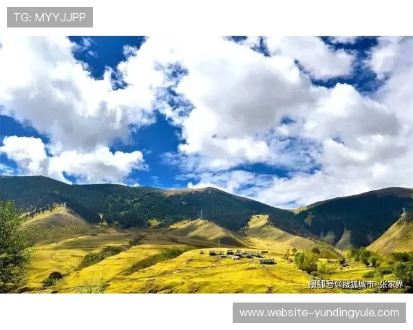 吉隆坡云顶官网官方客服联系方式，快速解决你的旅游疑问与问题