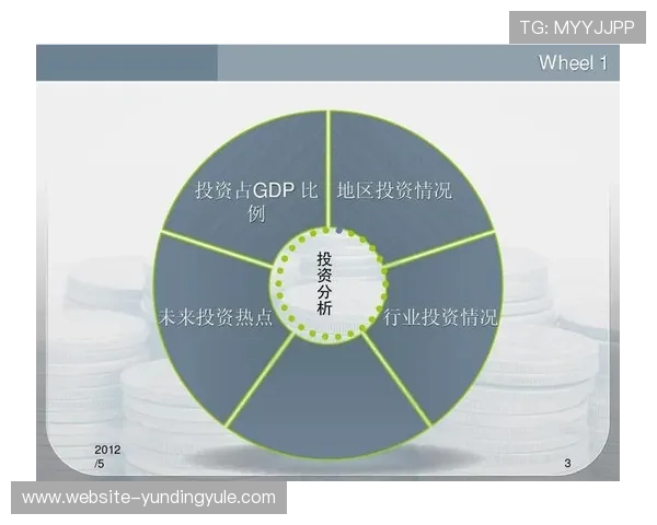 云顶投资有限公司的财务状况与投资回报率分析报告